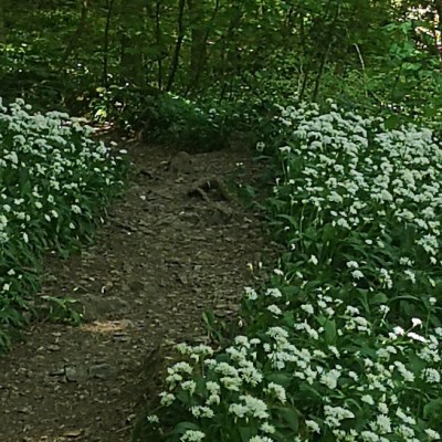 Week 5: a Series of Little&nbsp;Moments